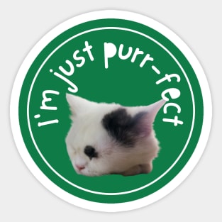 I'm just purrfect Sticker